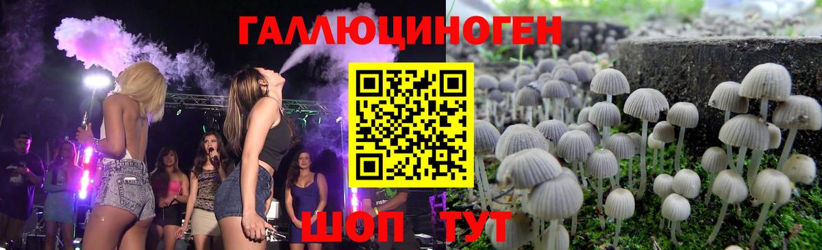 Псилоцибиновые грибы GOLDEN TEACHER Партизанск